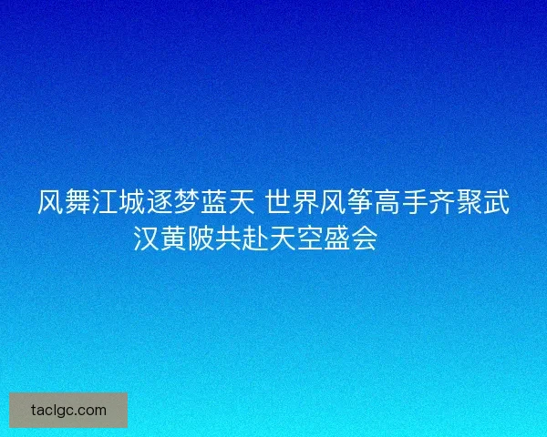 风舞江城逐梦蓝天 世界风筝高手齐聚武汉黄陂共赴天空盛会 🎏